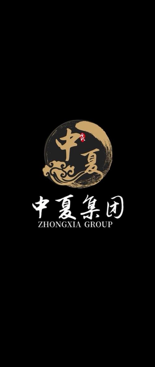 中夏投资集团 信息技术咨询服务的领航者